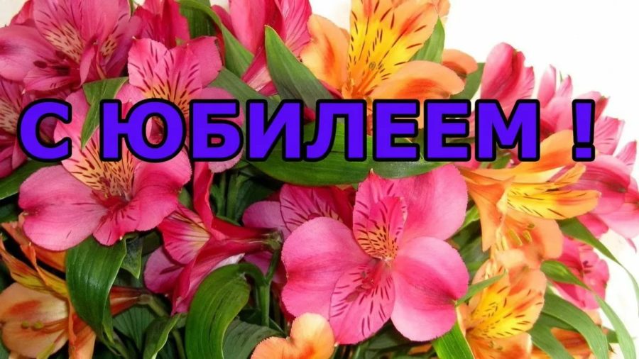 110 открыток с юбилеем для женщин