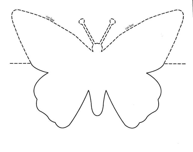 115 трафаретов и шаблонов бабочек для вырезания