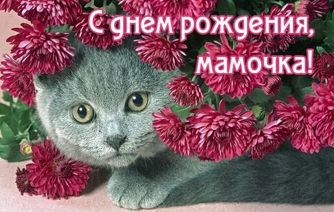 150 открыток с днем рождения маме