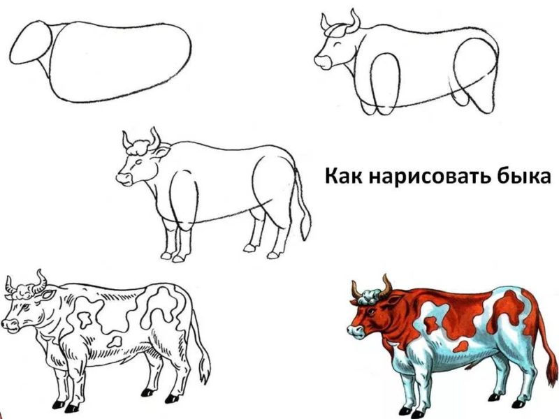 Рисунок домашнего животного для 2 класса