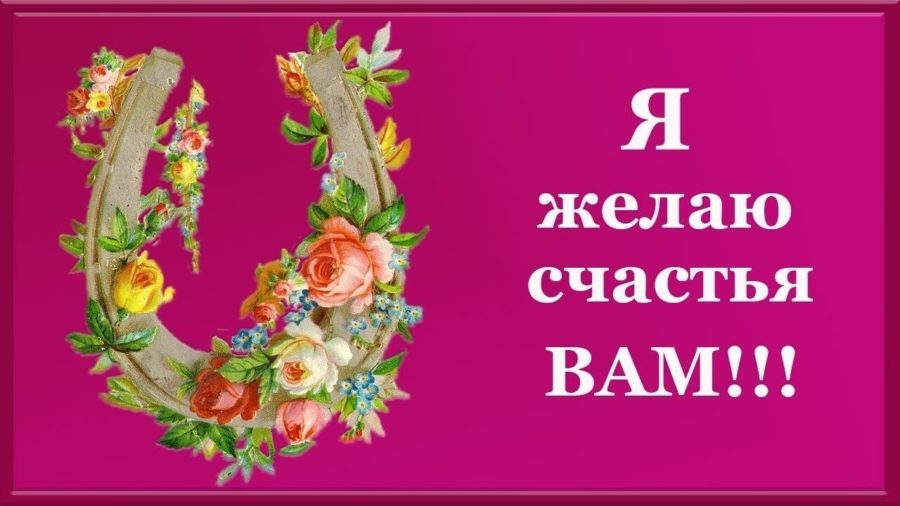 205 красивых открыток с цветами