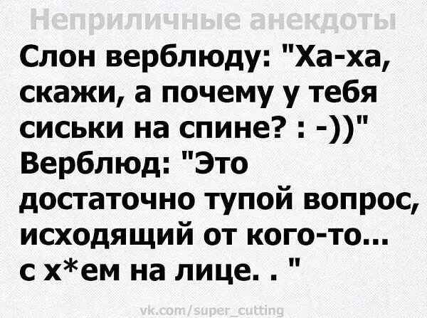 235 прикольных картинок про любовь