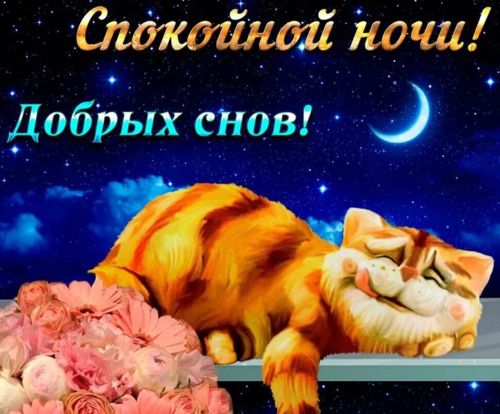 250 красивых картинок «Спокойной ночи!»