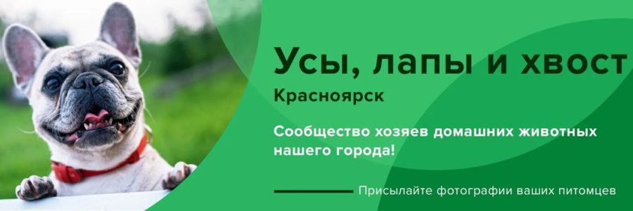 320 фото для группы ВК