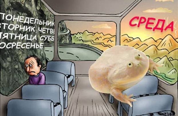 400 самых смешных мемов 2022-2023