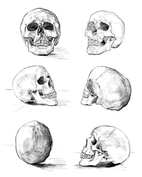 70 рисунков с черепами