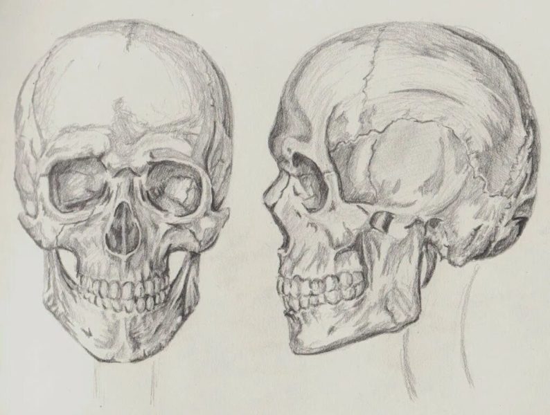 70 рисунков с черепами