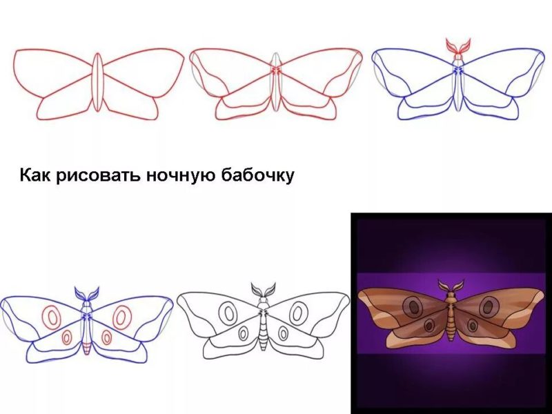 85 рисунков бабочек