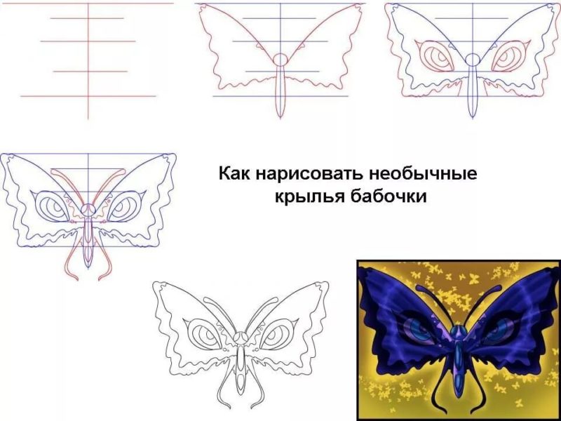 85 рисунков бабочек