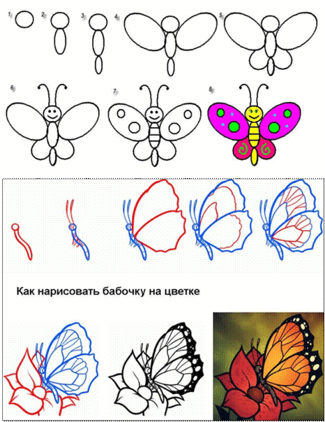 85 рисунков бабочек