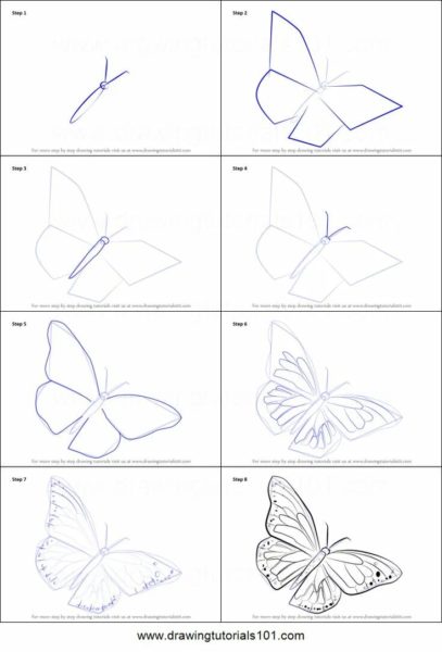85 рисунков бабочек