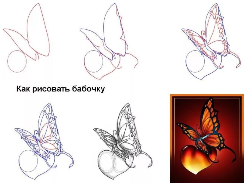 85 рисунков бабочек