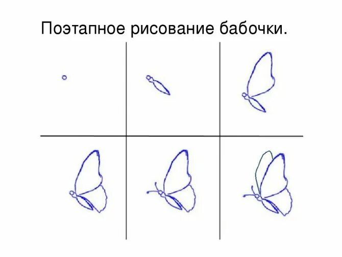 85 рисунков бабочек