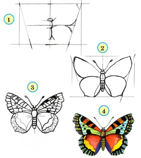85 рисунков бабочек