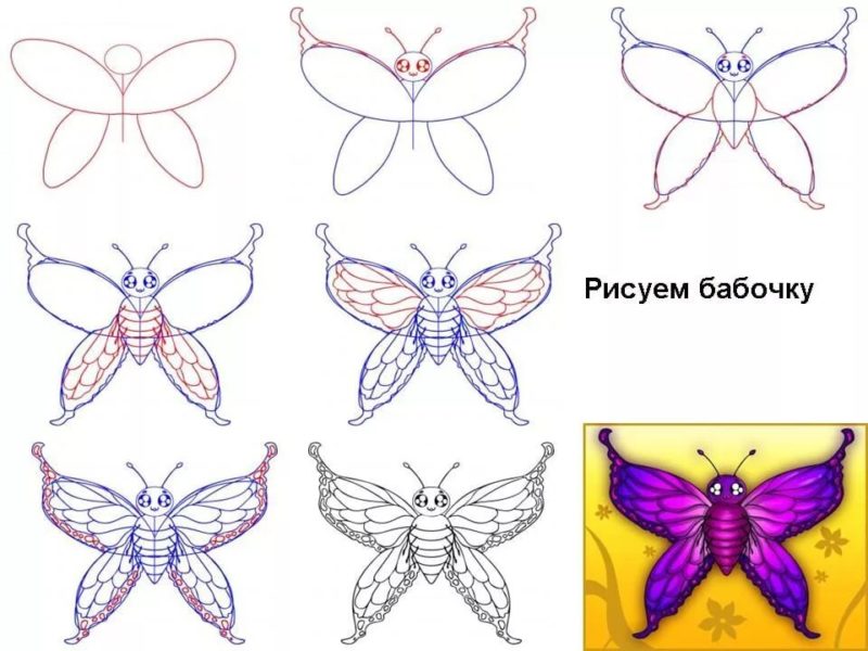 85 рисунков бабочек