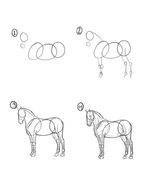 95 рисунков лошади