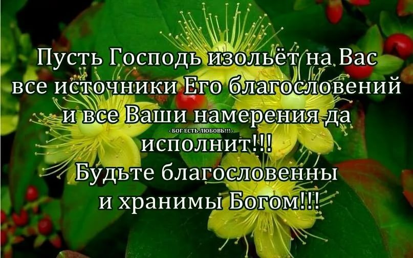 Благословенного дня и доброго утра картинки с надписями божией помощи