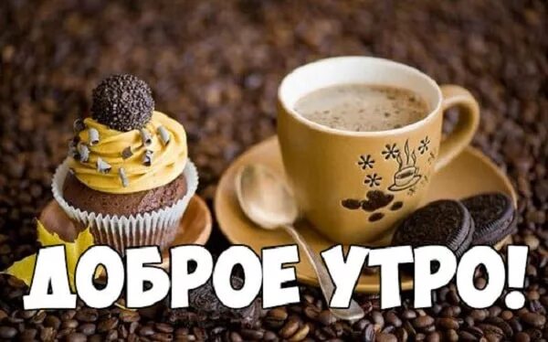 Доброе утро! 160 картинок с юмором