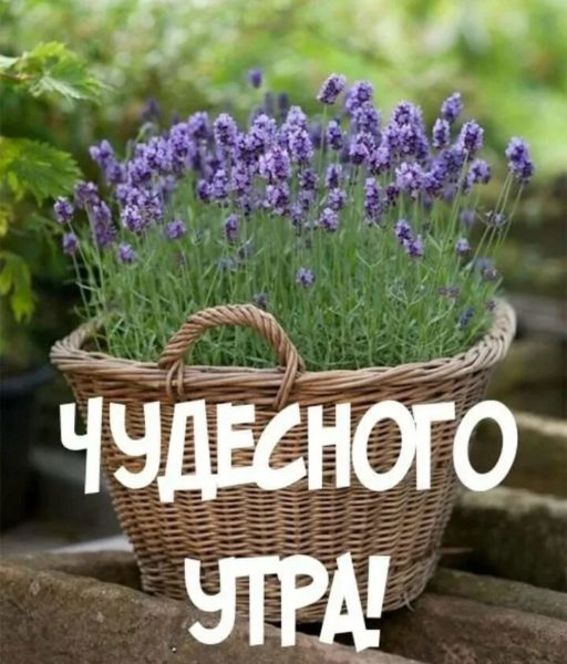 Доброе утро! 170 необычных красивых картинок