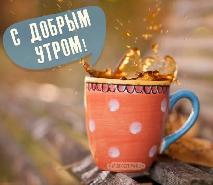 Доброе утро! 170 необычных красивых картинок