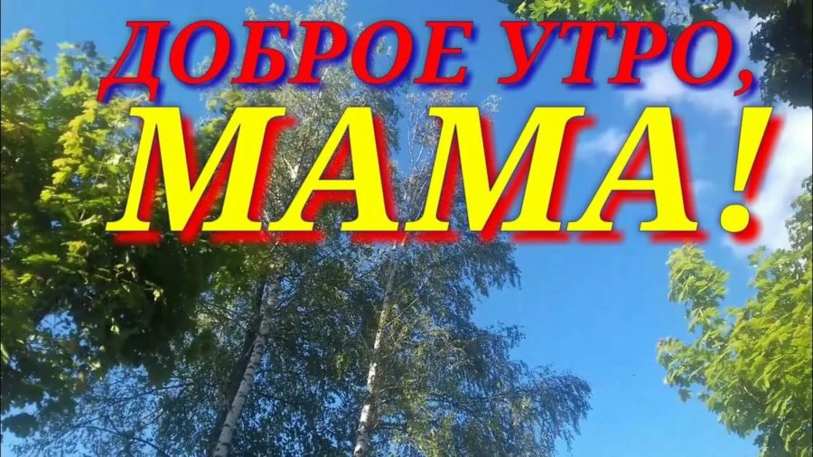 Доброе утро, мамочка! 130 картинок для мам