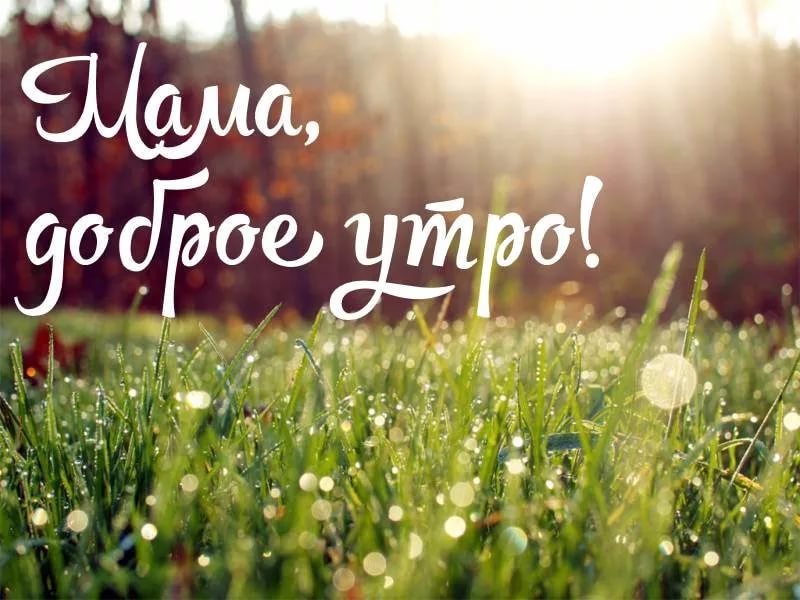 Доброе утро, мамочка! 130 картинок для мам