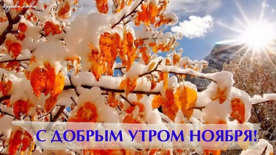 Доброе утро ноября! 50 картинок с надписями