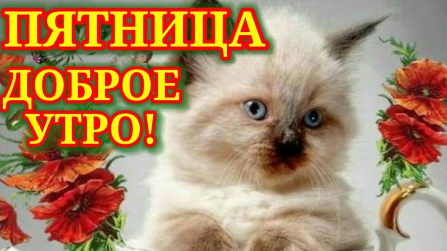 Доброе утро пятница: позитивные картинки