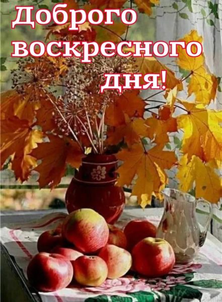 Доброе воскресное утро! 140 картинок