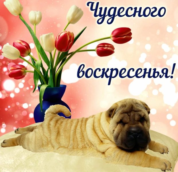 Доброе воскресное утро! 140 картинок