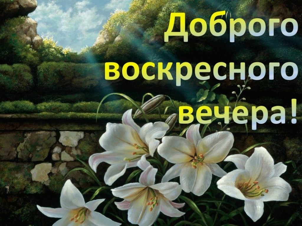 Добрый день - красивые и прикольные картинки хорошего настроения