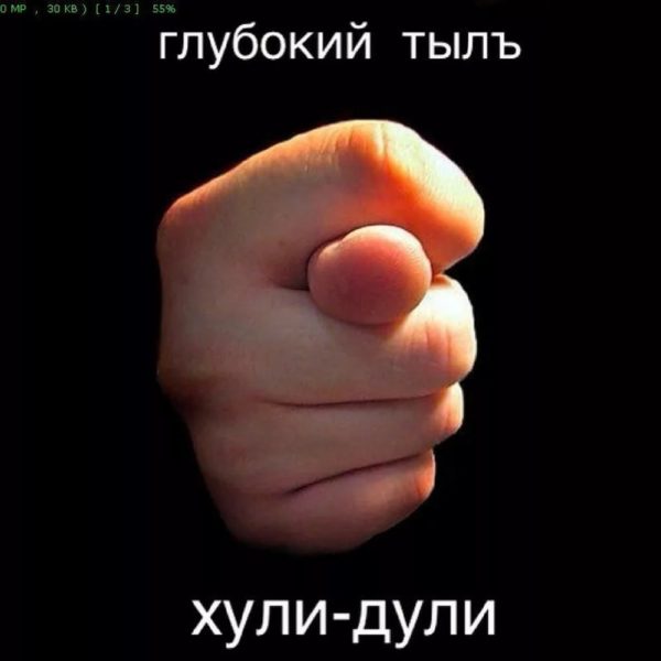 Фига, дуля, кукиш: 65 картинок