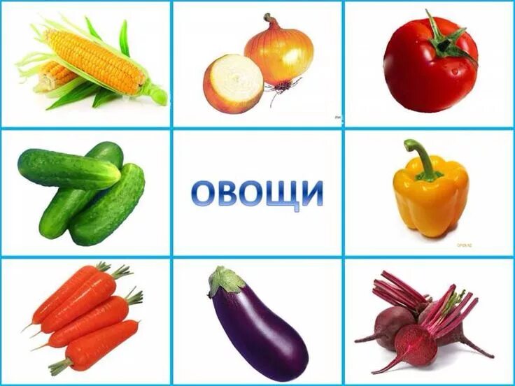 Фрукты и овощи: 100 картинок для детей