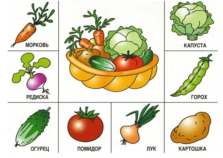 Детское лото с картинками