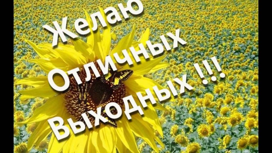 Хороших выходных: прикольные картинки про отличные выходные