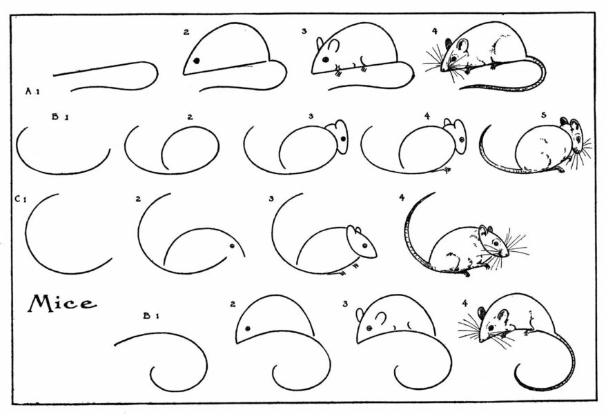 Как нарисовать мышку: 50 рисунков