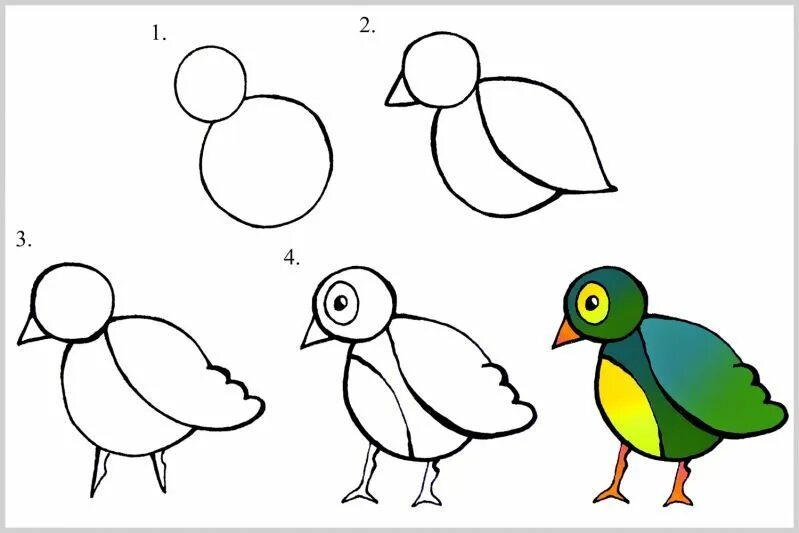 Как нарисовать птицу: 95 рисунков