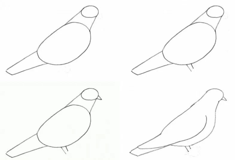 Рисунок как нарисовать голубя