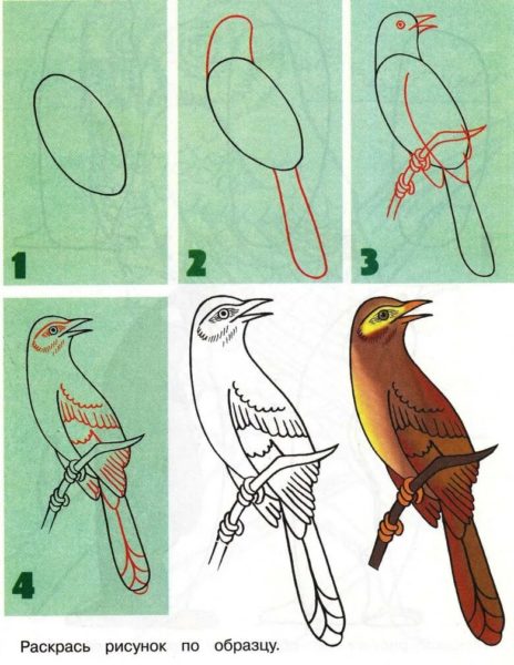 Как нарисовать птицу: 95 рисунков