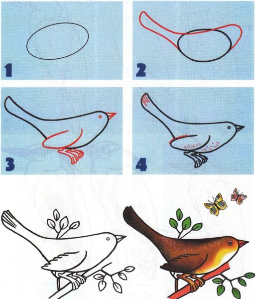 Как нарисовать птицу: 95 рисунков