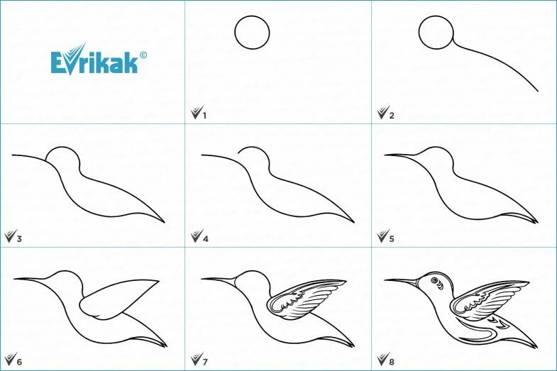 Как нарисовать птицу: 95 рисунков