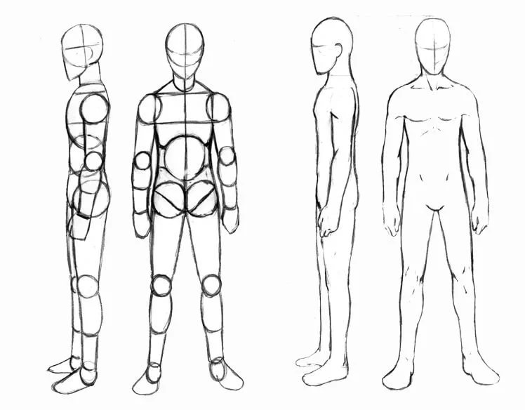 Форма тела человека рисунок