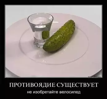 Картинки на День похмелья (56 прикольных открыток)