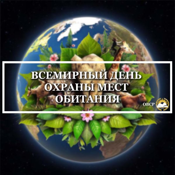 Красивые картинки с Всемирным днем охраны мест обитаний 2024 (19 фото)