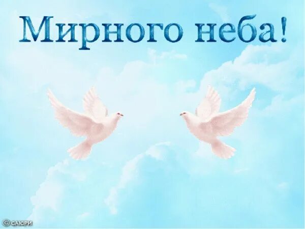 Мирного неба над головой: 40 картинок