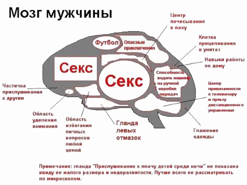 Мужской юмор: 170 приколы про мужчин