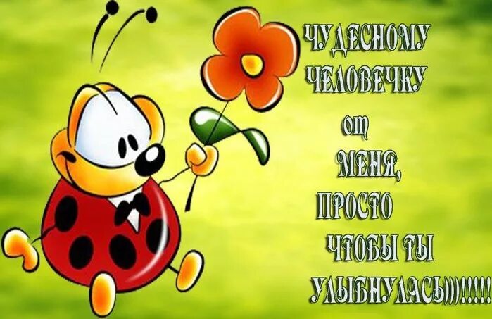 Не грусти и улыбнись: 60 картинок