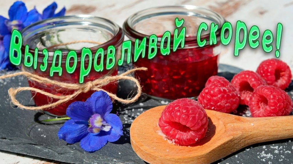 Прикольные картинки выздоравливай скорее - не болей