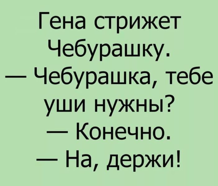 Приколы 2022: 205 смешных картинок