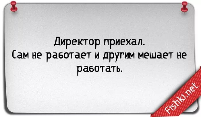 Смешные высказывания про работу. Статусы про работу прикольные. Прикольные фразы про работу. Прикольные высказывания про работу.